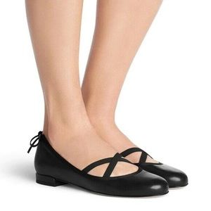 Stuart Weitzman Bolshoi Ballerina Flats 🥿